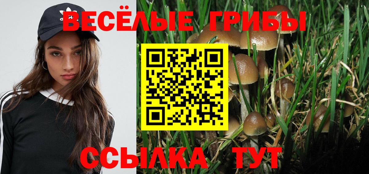 Галлюциногенные грибы мицелий Отрадный