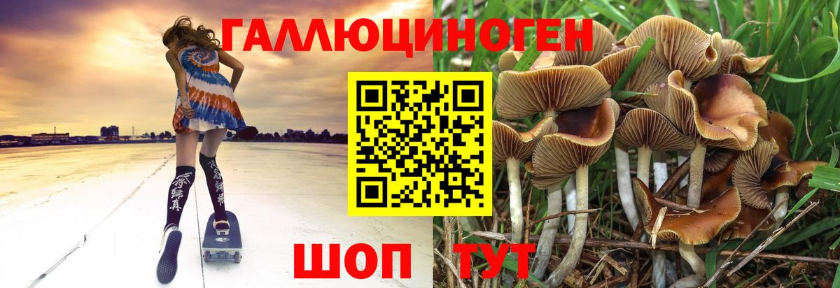 МЕФ Отрадный