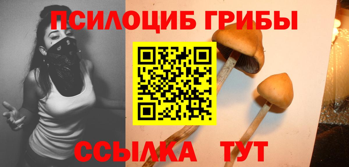 Псилоцибиновые грибы Psilocybine cubensis  Вход с VPN  Галлюциногенные грибы Psilocybe  купить закладку  Отрадный 